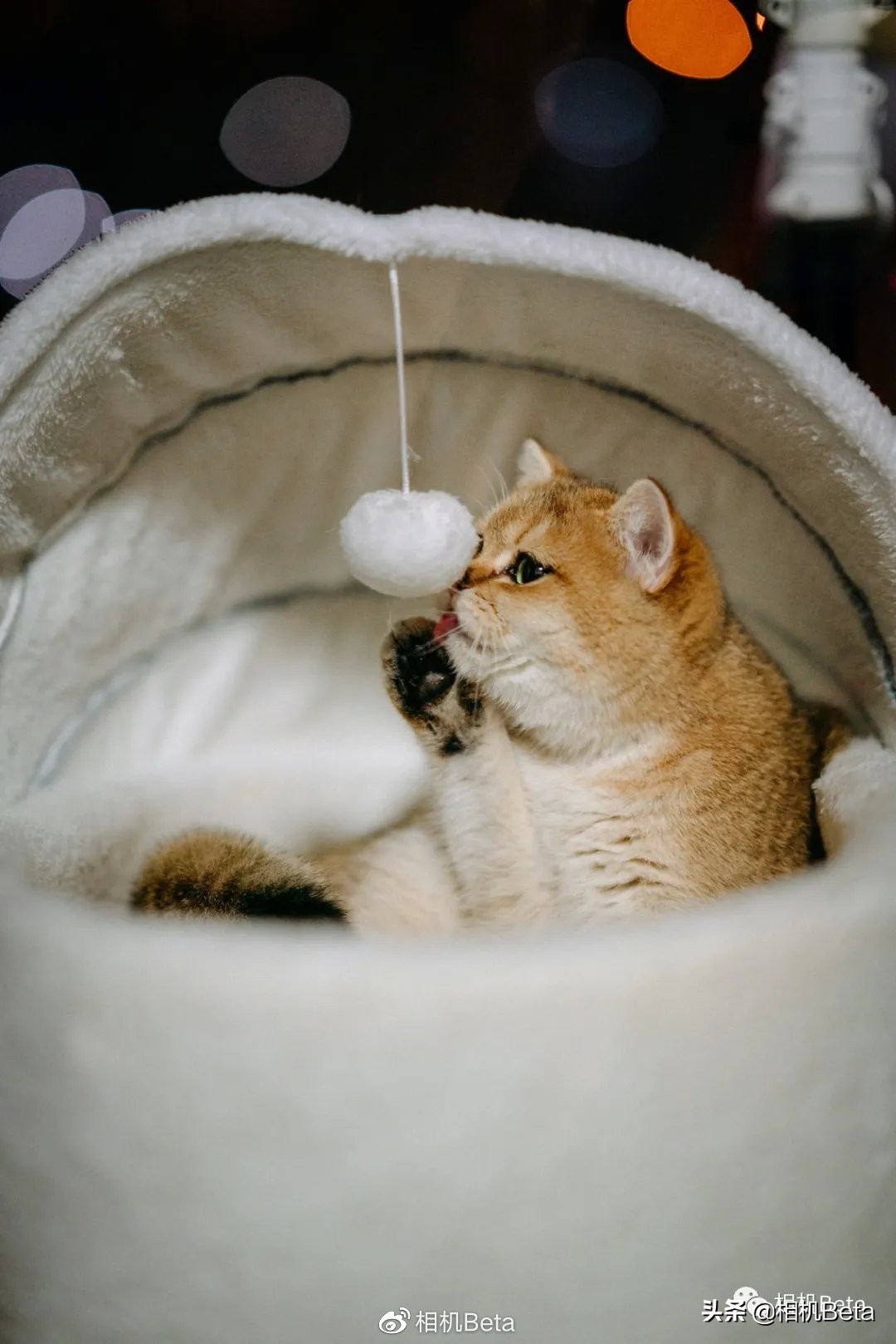 后期修图专业级显示器,最专业的修图显示器