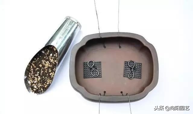 农民大爷自己做的盆景,老大爷盆景制作视频