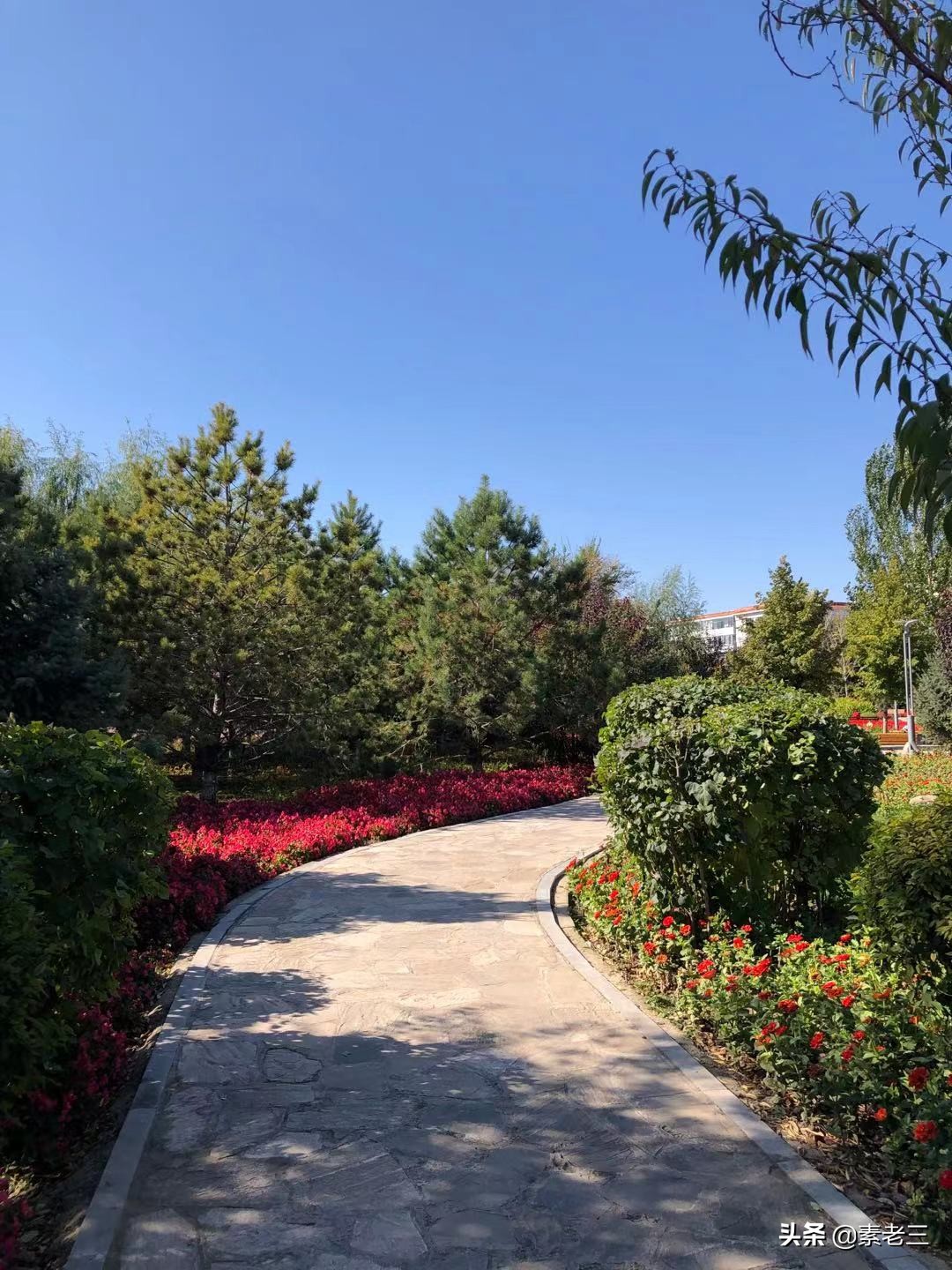 女作家去做保姆101集,女作家去做保姆最新篇920