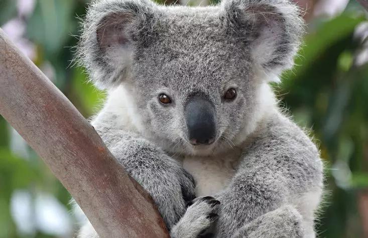 墨尔本最适合游玩时间,墨尔本适合华人游玩的地方