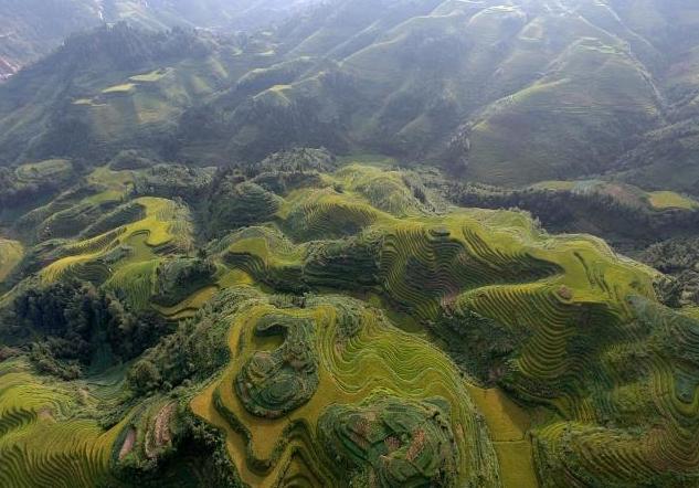 秋季桂林梯田之冠龙脊梯田,广西桂林龙胜龙脊梯田晨景