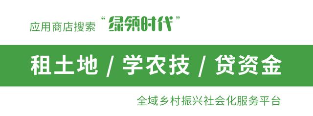 山东菏泽大豆价格最新行情现在,今日河南许昌大豆最新价格行情