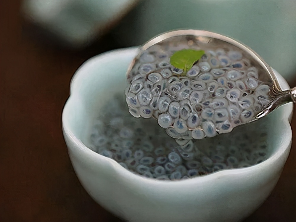 香草罗勒种子,香草降糖草苗