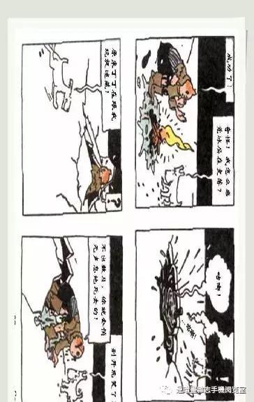 丁丁和丁丁历险记论文,丁丁历险记丁丁的服装