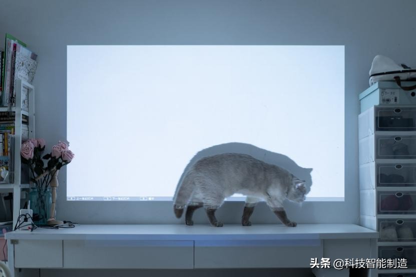 新手入门投影仪选lcd还是dlp,爱普生tw610投影效果