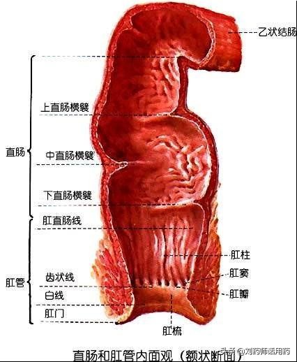 感冒直肠给药有危害吗,中药直肠给药的危害