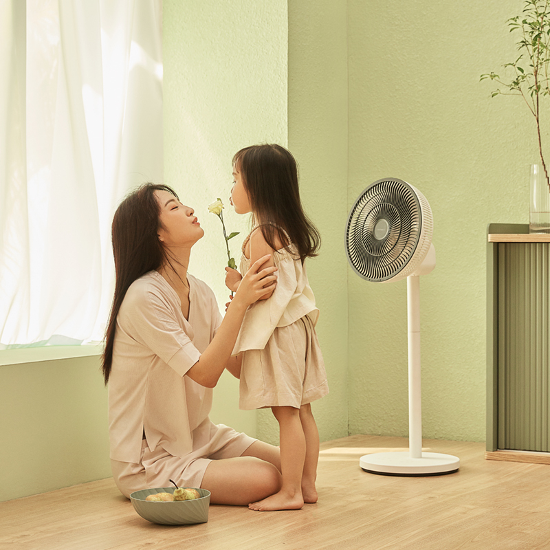 巴慕达风扇扇叶,巴慕达中国版多少钱