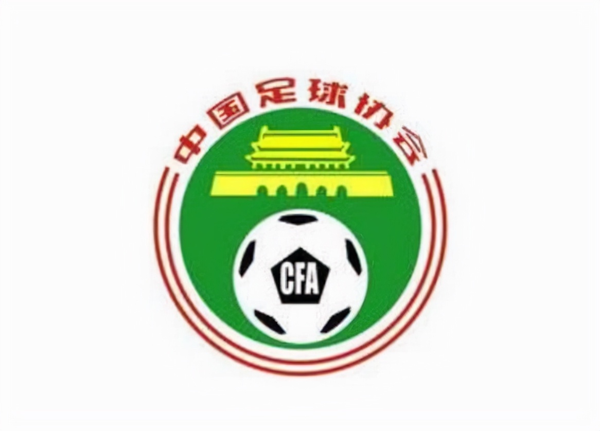 里皮评价国足后续,里皮批评国足完整版