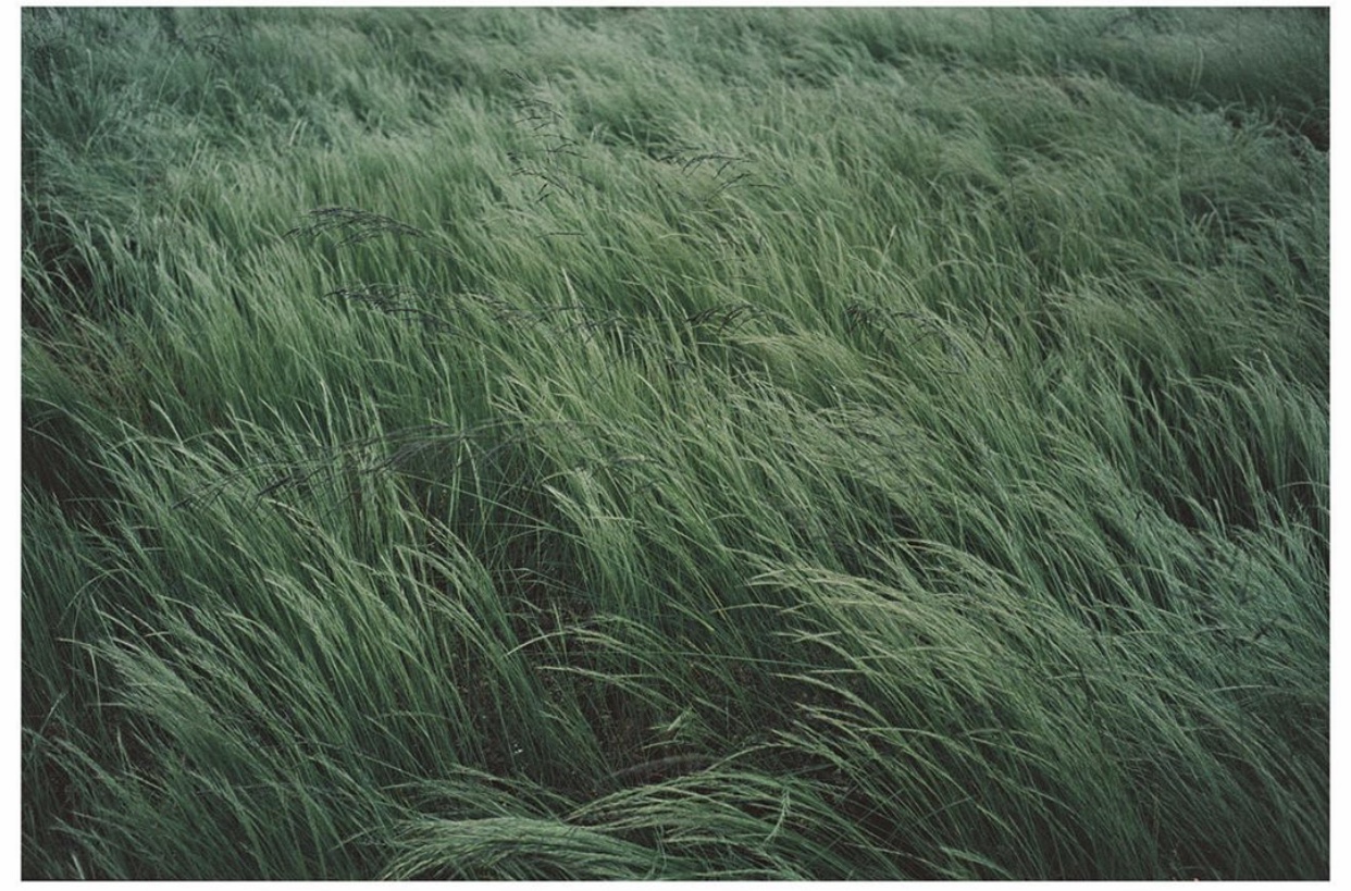 耳麦拍照日系,耳线高级感拍摄技巧