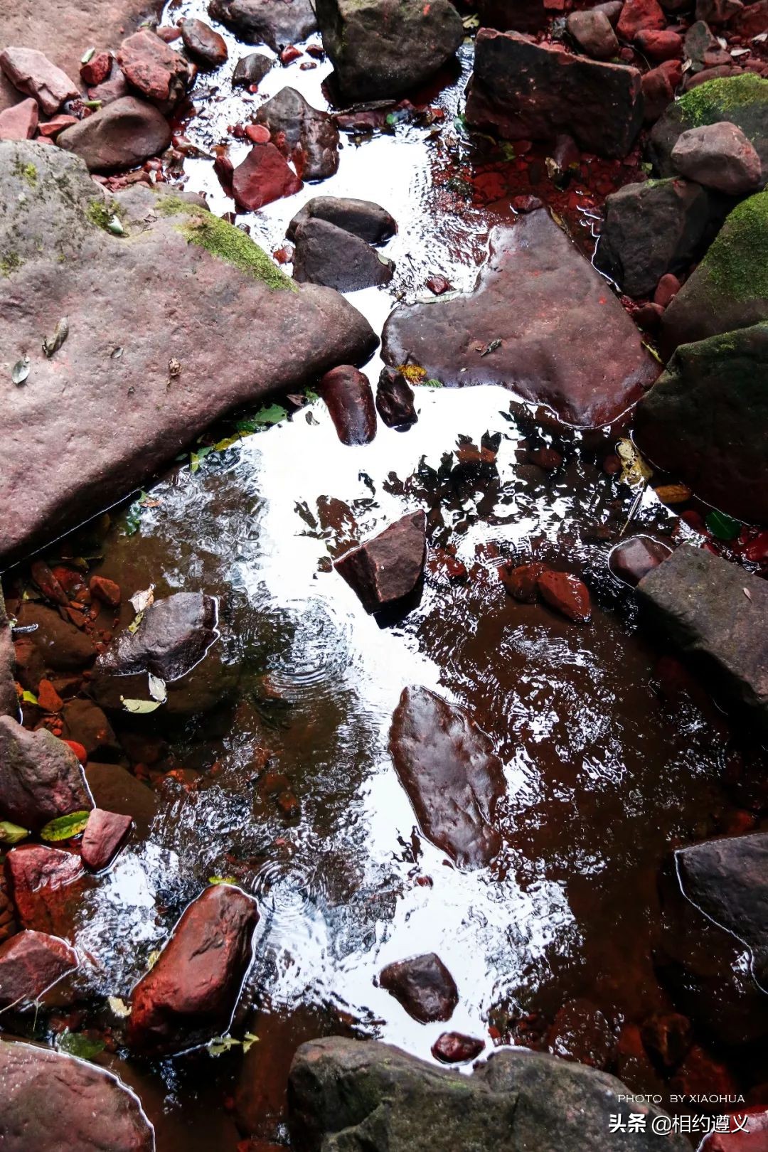 赤水大瀑布 侏罗纪公园 (世界唯一保留的侏罗纪原始公园)