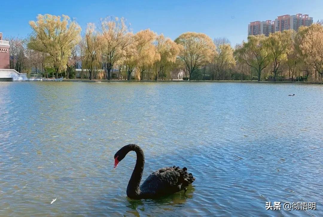 小奈良景区,北京小奈良紫玉山庄