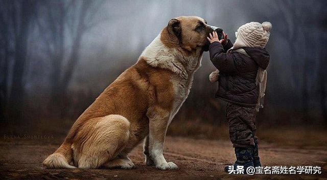 从怀孕到孩子出生的感受,从怀孕到生产的计划