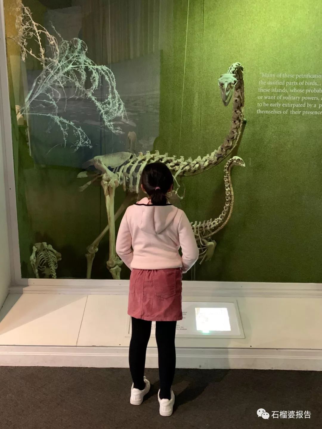 旅行7天,七天游记的视频在线观看全集高清