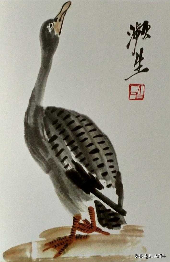 一学就会的禽鸟画法书,禽鸟的画法大全图解