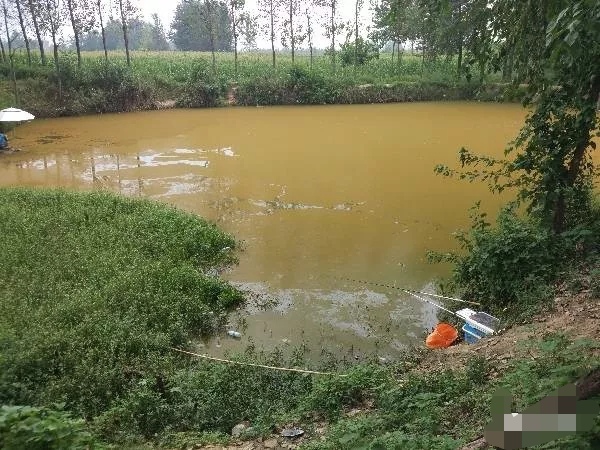 养殖塘水锈,养殖水有锈