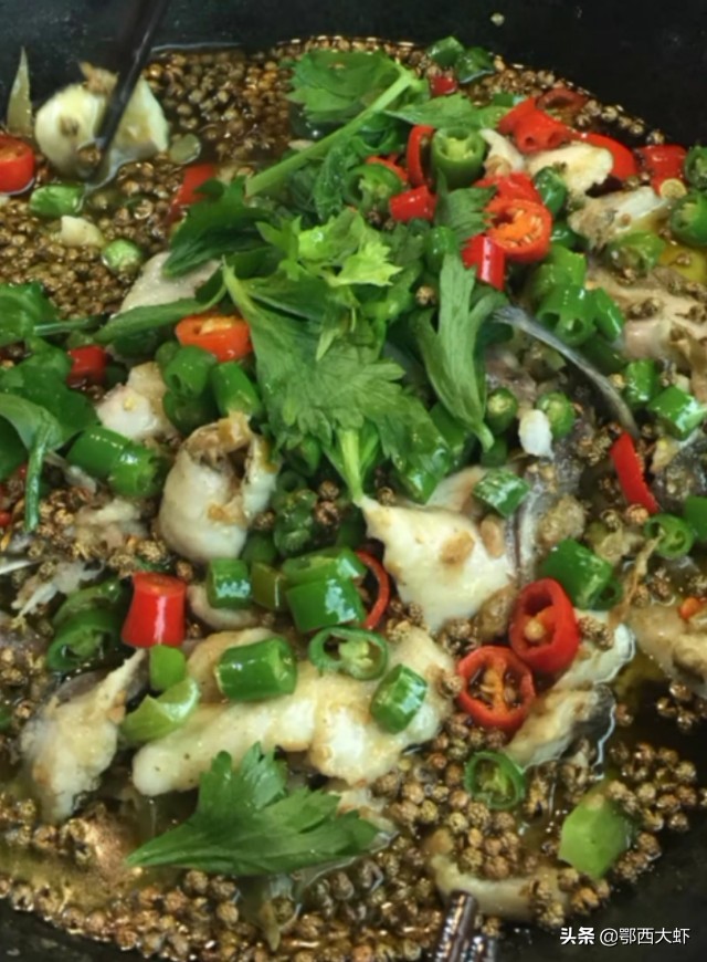 黑鱼鲫鱼的家常做法,黑鱼草鱼鲤鱼配方