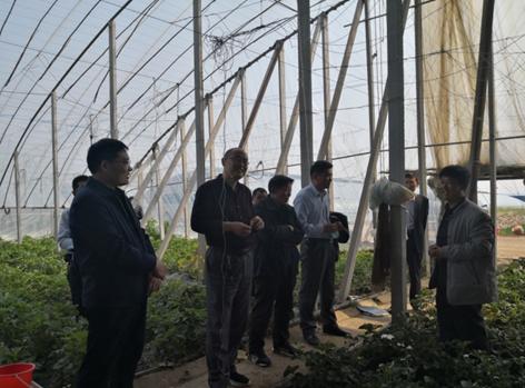 乡村振兴博士专家服务团,乡村振兴服务团