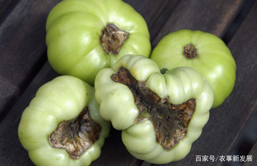 桃花褐腐病怎么防治,幺妹说农村事亮点