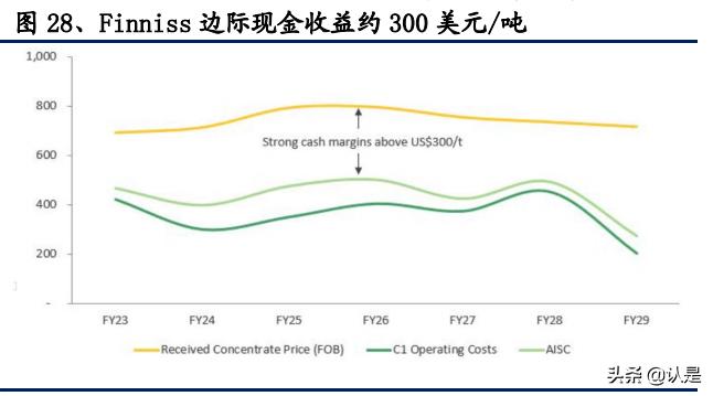 雅化集团深度分析,雅化锂业的现状