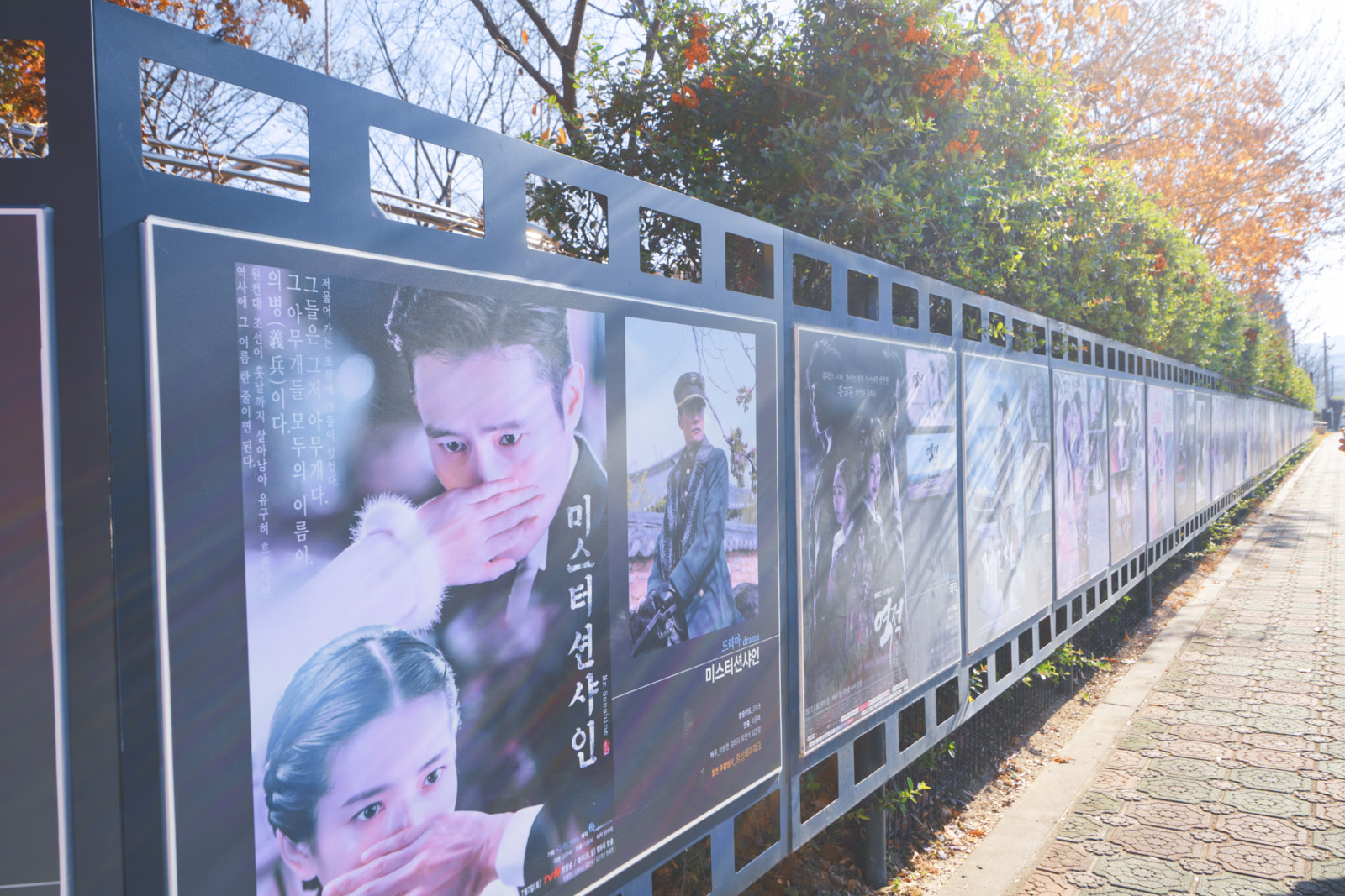 哇，人参随便挖！韩国还能这么玩