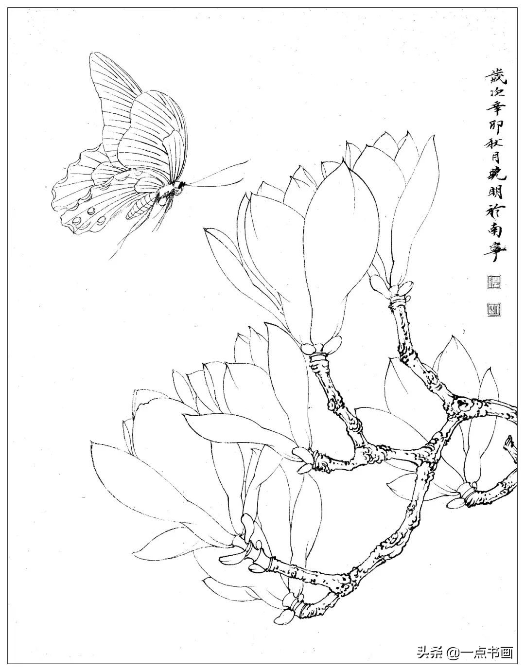 玉兰蝴蝶工笔绘制示范,玉兰蝴蝶工笔画上色步骤