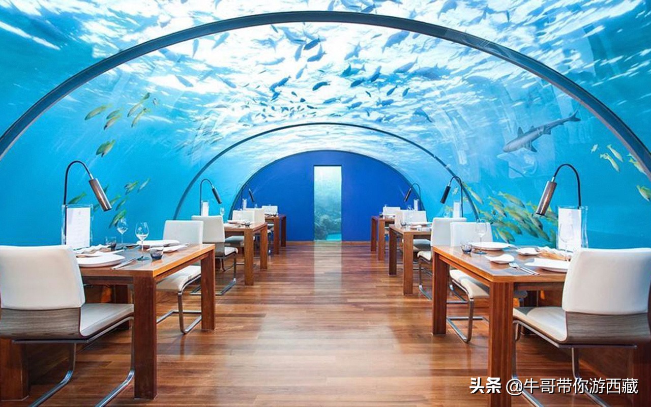 什么是品质旅游团,高端旅行团优势