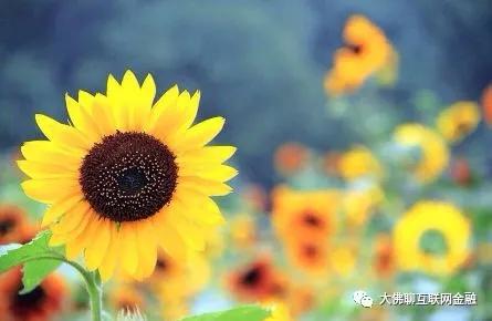 你想做什么能让你变得有钱,哪些习惯会让你越变越美