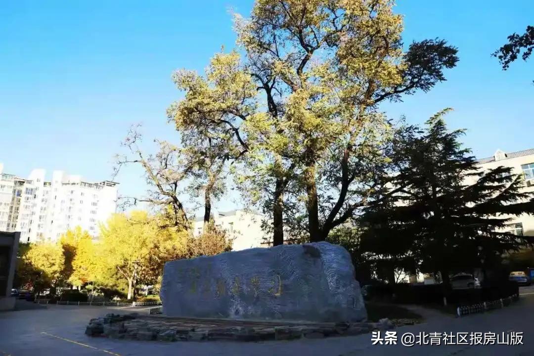 房山的学校和城区的学校差距在哪,房山长阳有什么好的学校