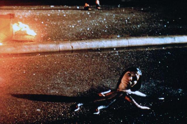 寄生虫电影完整版最刺激的那段,十部最恶心虫子电影