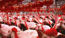 二月二龙抬头活动方案,二月二有什么活动