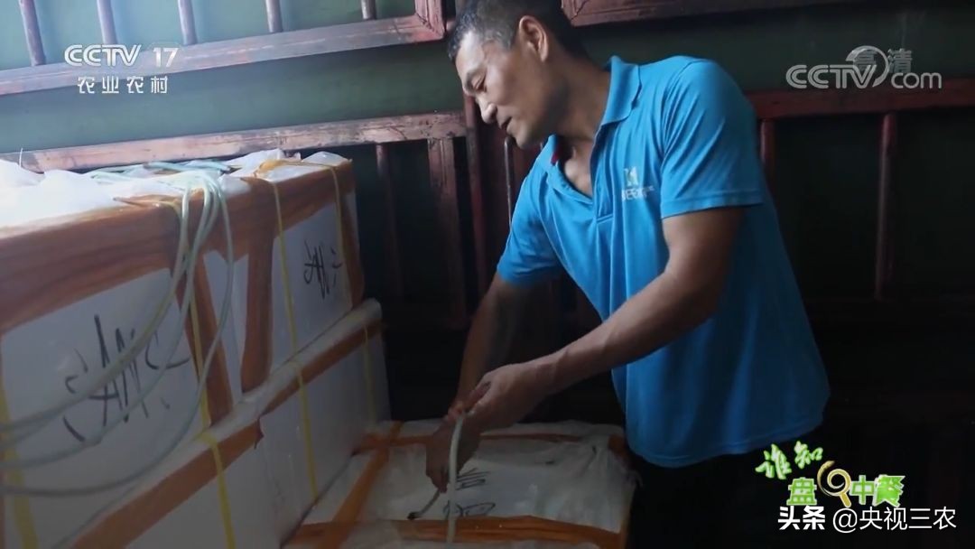 又臭又贵的臭鳜鱼,臭鳜鱼和桂鱼哪个贵呢