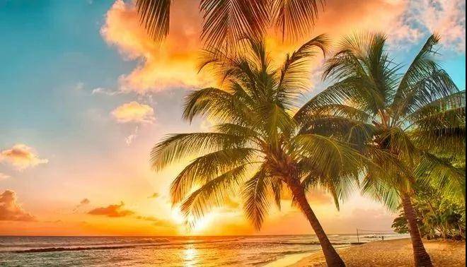 广东小帕劳,下川岛小帕劳