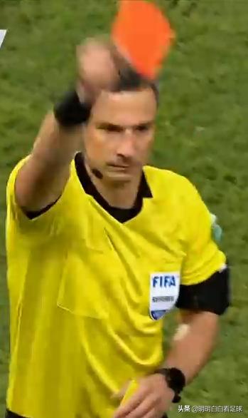 欧世预赛北爱尔兰对芬兰,世预赛欧洲区爱尔兰vs法国