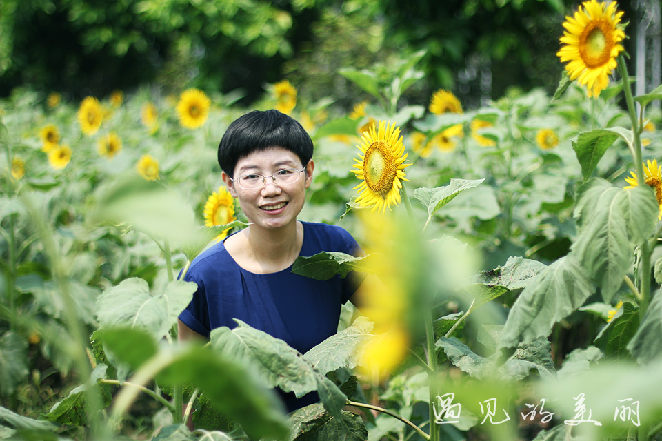 百万葵园有多坑,百万葵园免门票