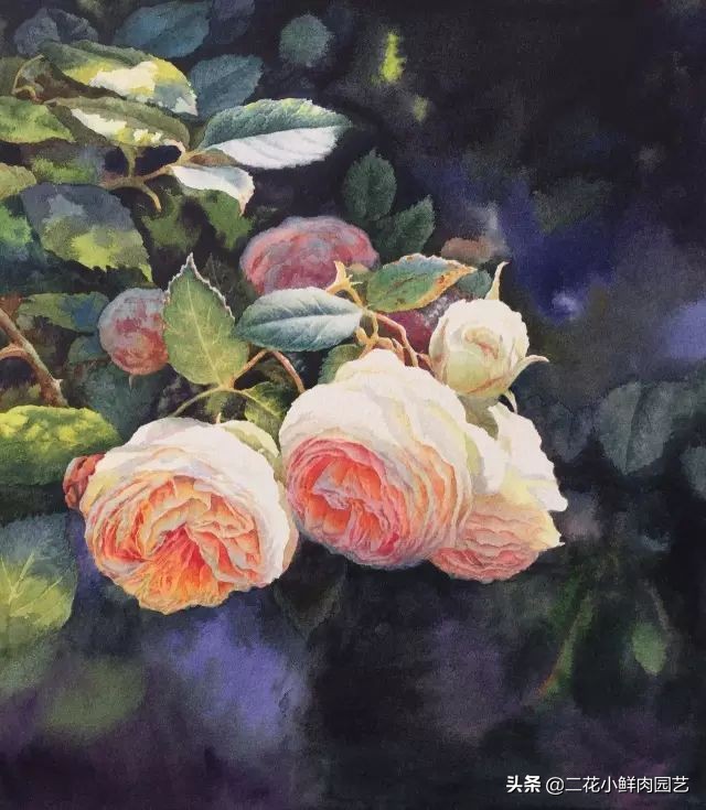 100种花卉绘画,100多张花卉线描手稿素材赶快收藏