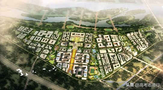 哈工大(深圳)“如日中天”,完胜校本部,超过“老邻居”西交