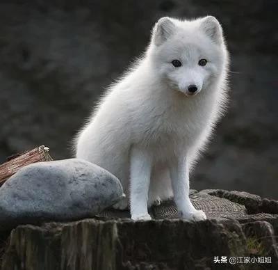 民间灵怪真实故事,民间志怪灵异故事传奇