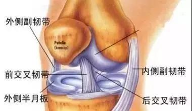 科普:膝关节不小心拉伤?疼痛事小,侧副韧带损伤才是大问题