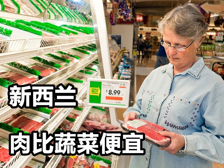 在新西兰生活真实感受,新西兰的亲身经历