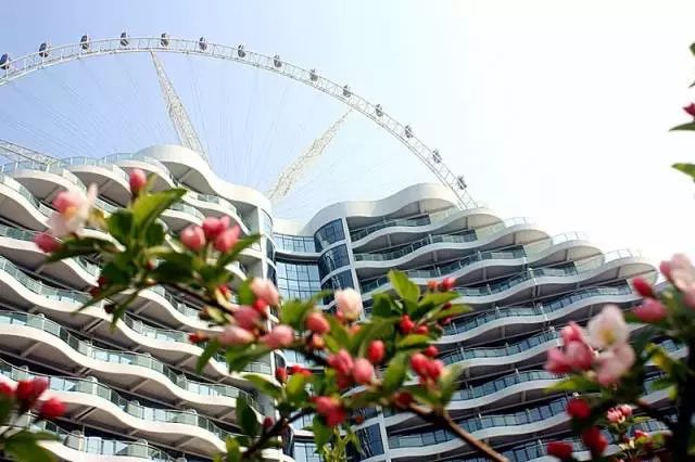 水城之眼摩天轮夜景,东昌湖水城之眼摩天轮