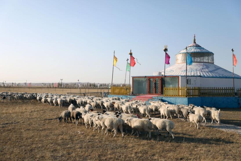 草原上的快递小哥,苏宁火箭小哥