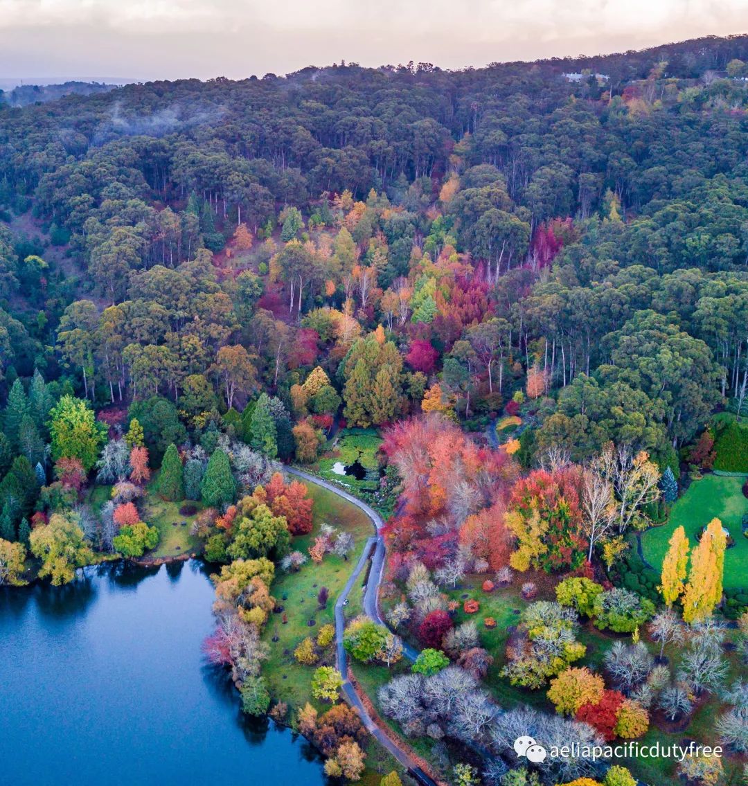 阿德莱德机场免税店攻略,澳大利亚旅游机场免税店