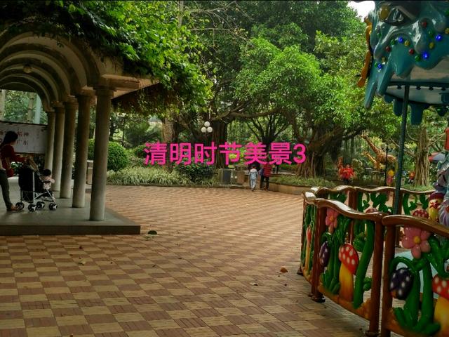 枫林诗苑落花诗句,枫林诗苑古诗