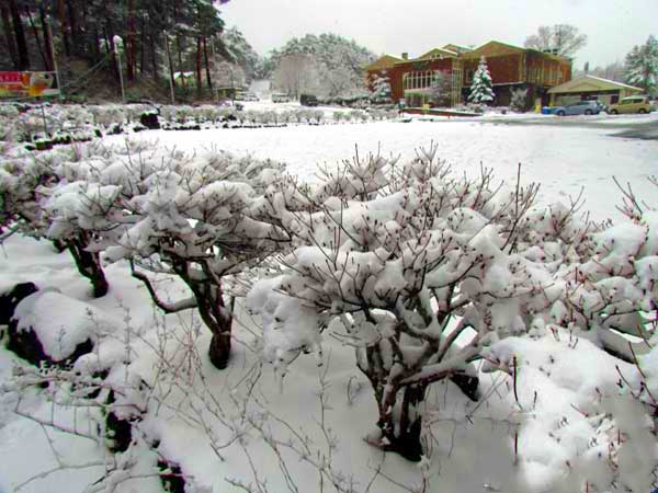 日本琦玉足球小将,北京国安亚冠赛程表