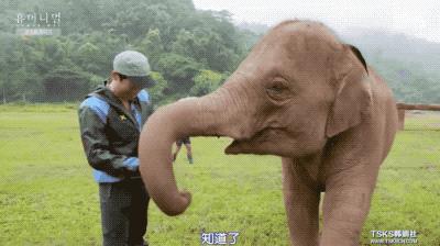 9.4分韩国催泪电视剧,韩国十部9.5评分催泪电影