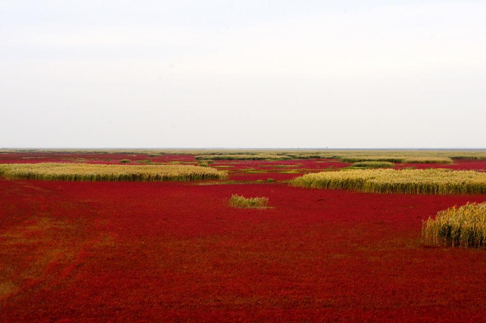 十一沿途风景,十一去红叶谷的景致