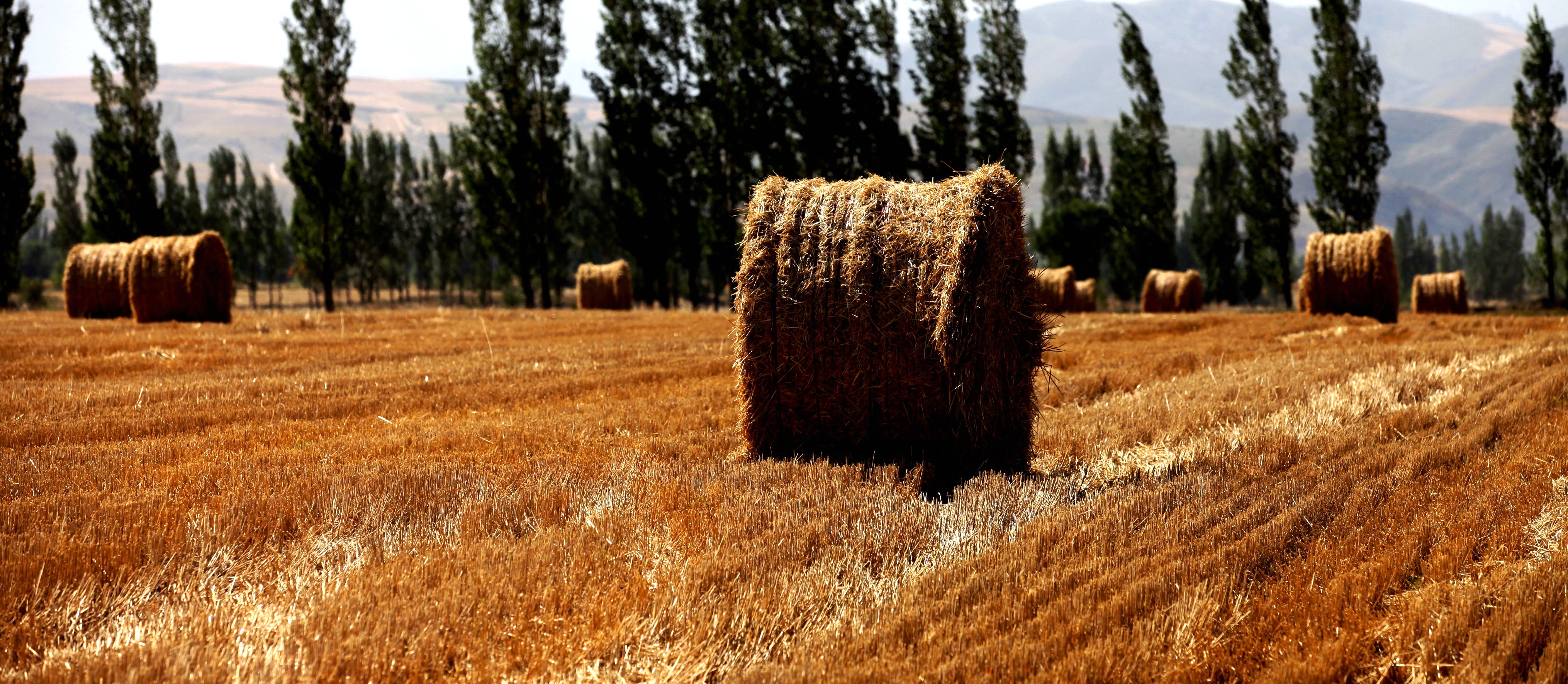 澶╁北楹︽捣,鏄熺┖涓嬬殑缁濈編绋荤敯姊甸珮