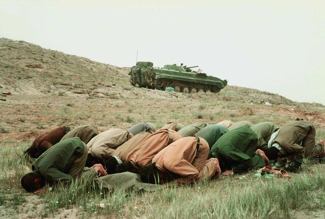 人类历史中没发生过战争的有几年,苏德战争人类历史上最惨烈的战争