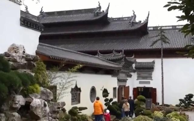 外国到底有多喜欢大熊猫,外国人是有多喜欢大熊猫