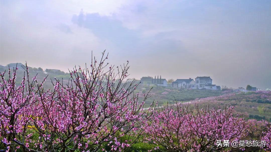 南京周边免费旅游景点推荐一日游,南京免费的旅游景点有哪些地方